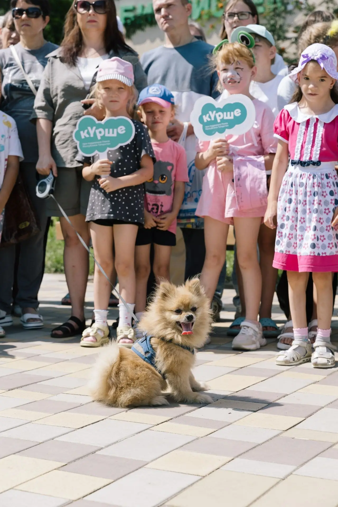 🐾 «Мы с животными — друзья, друг без друга нам нельзя!» — под таким девизом на улице Р...
