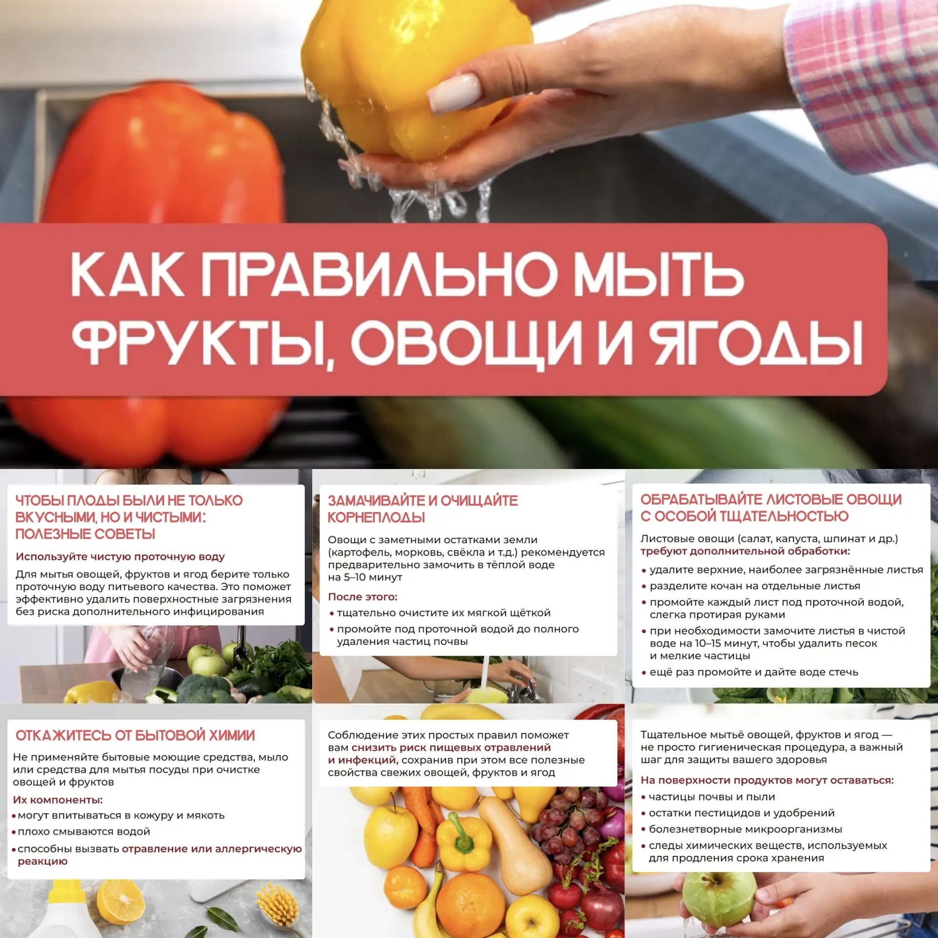 Моем по правилам фрукты и овощи! Роспотребнадзор напоминает!

Перед тем как попасть на нашу кухню, о