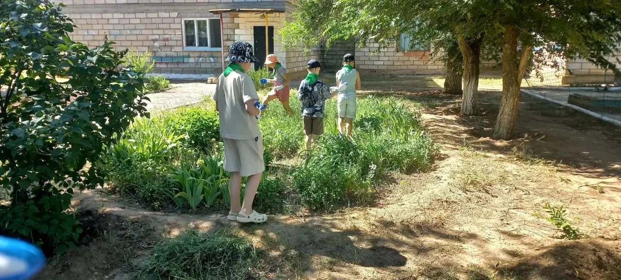 Экологический отряд «Дельта» снова в деле! 🌱💪

Ребята из нашего лагеря не сидят без дела и вышли н