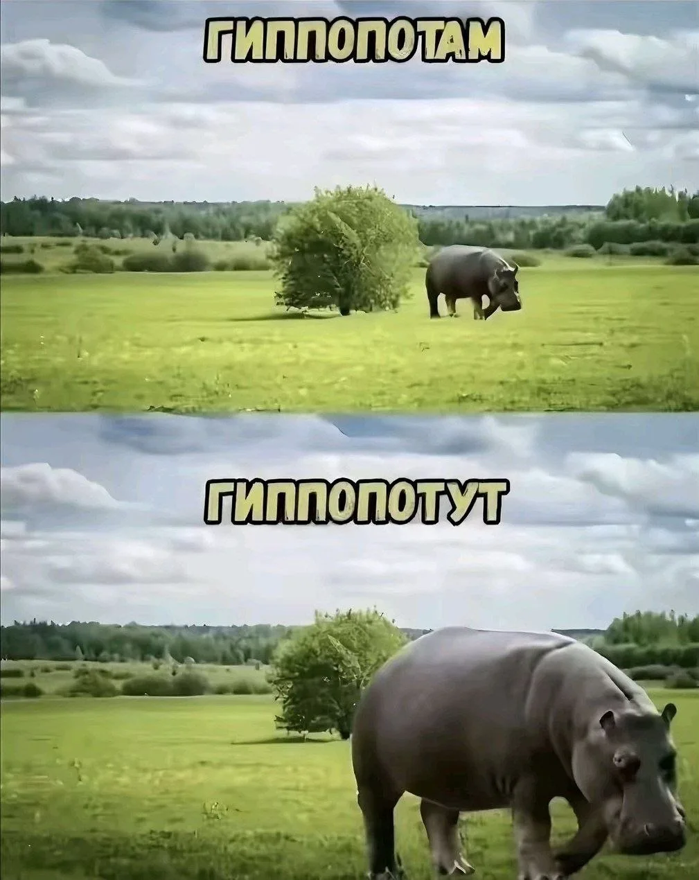 💁‍♀️Мемчики тут