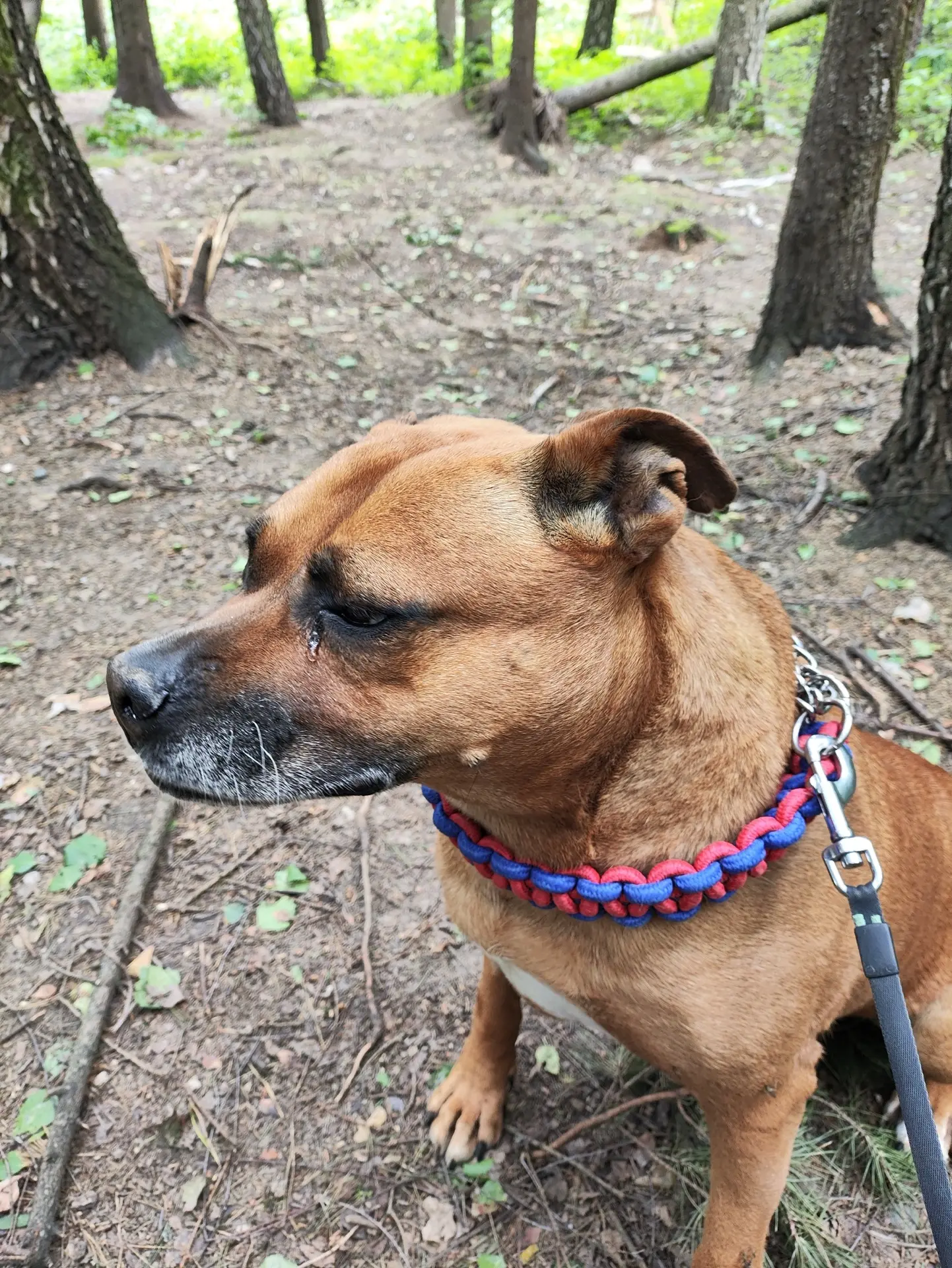Оплатили обследования Милы😍🐶