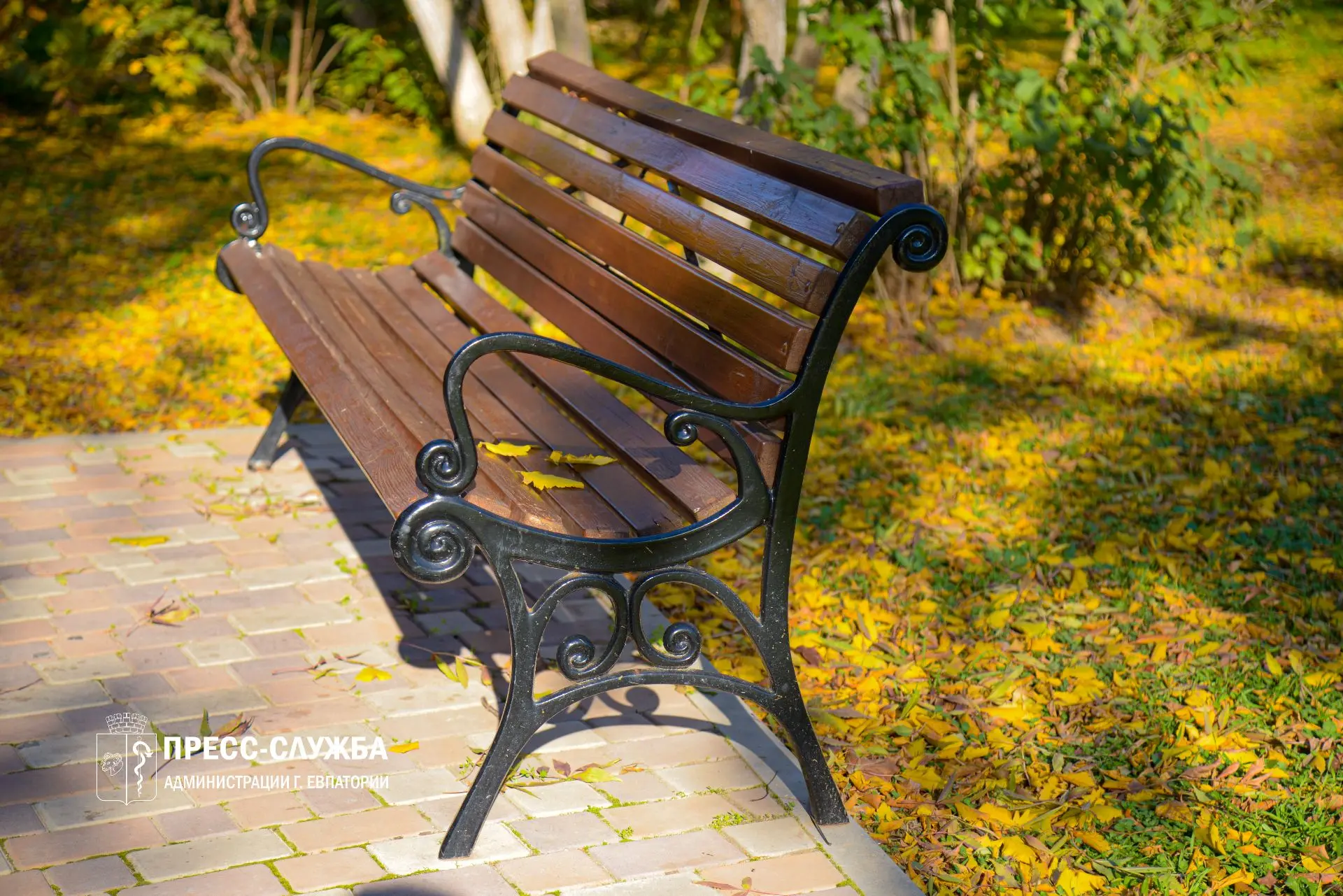🍂В Крым пришла золотая осень