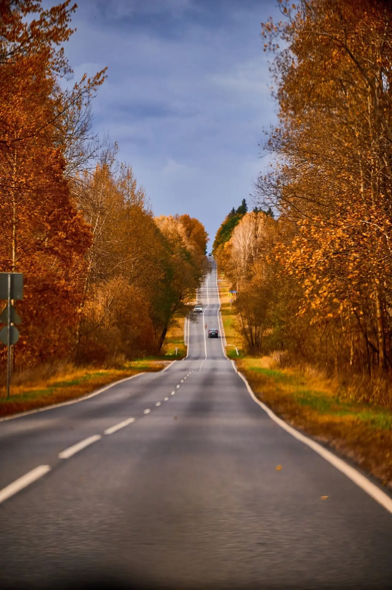 🍂🍁Каждый падающий лист — это не символ увядания, а жест невероятного доверия к жизни....