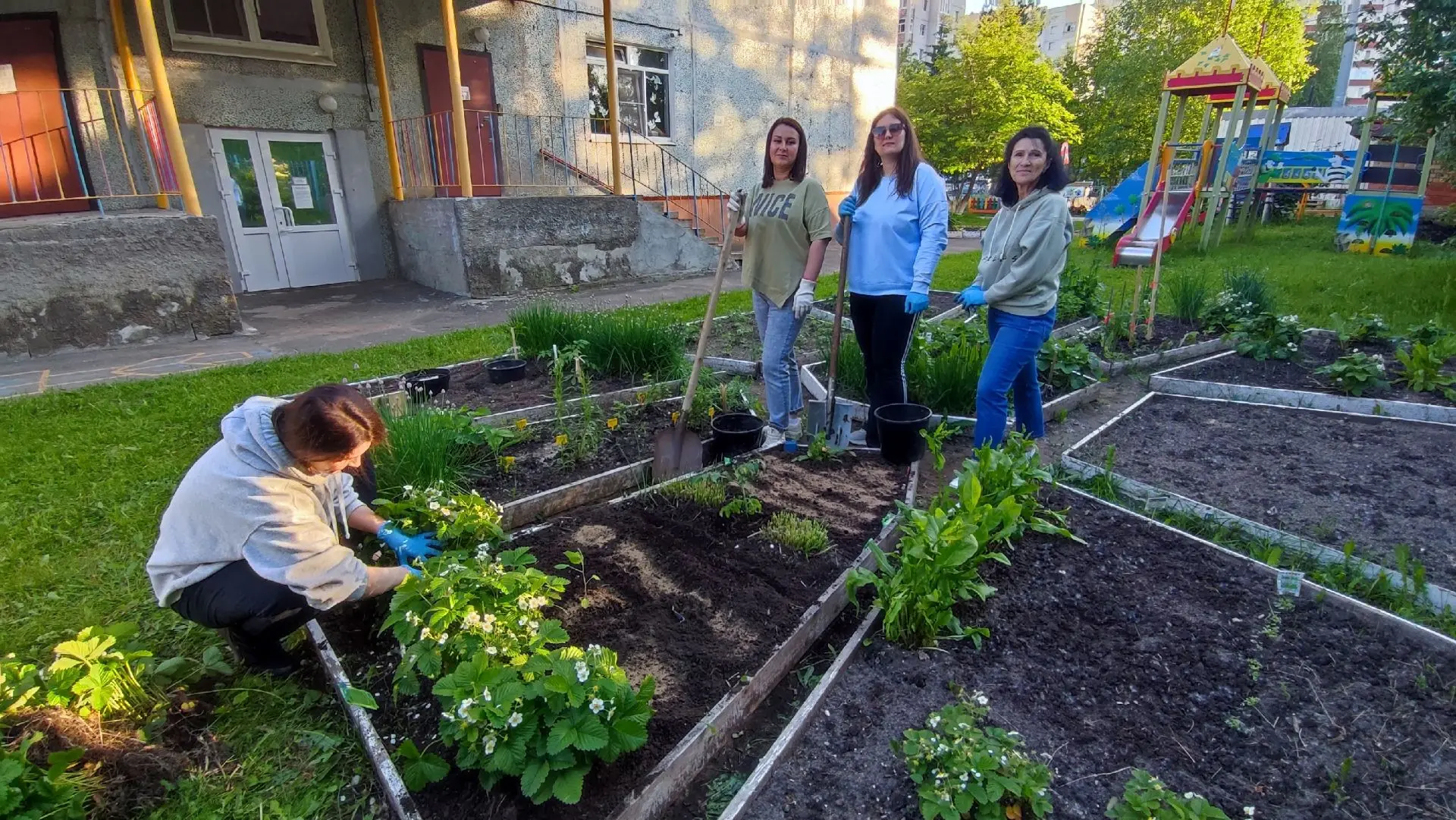 🫛🥕🫑В рамках смотра-конкурса «Лучший огород в детском саду» родители группы №6 с радостью посадили