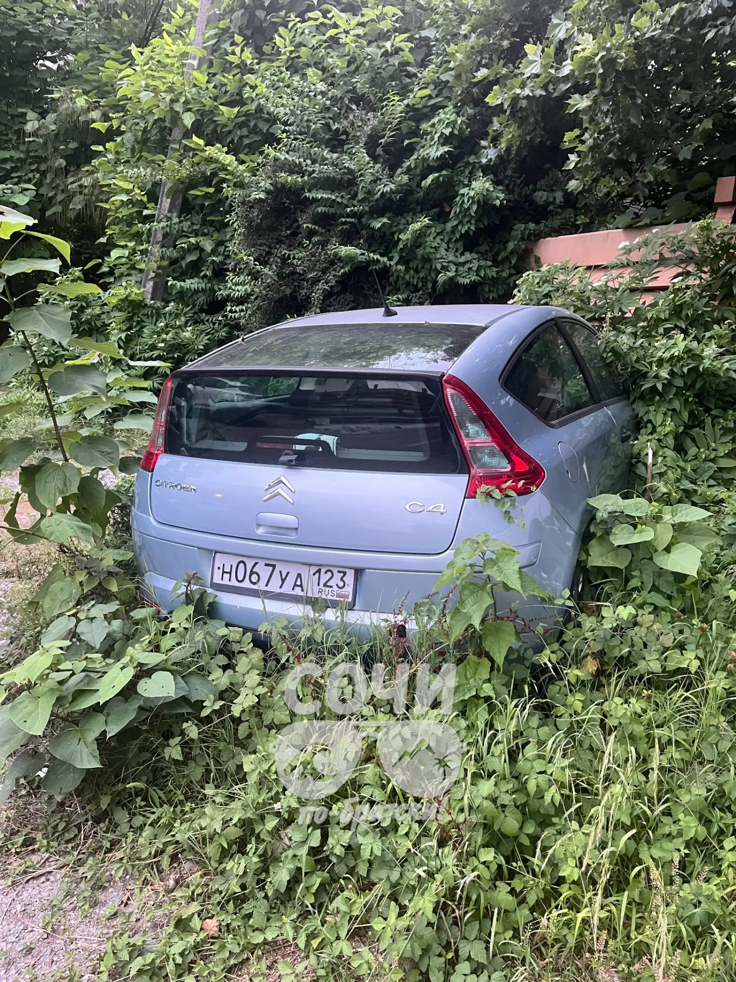 В Сочи созрели первые Ситроены.

Рановато. К дождливой осени.