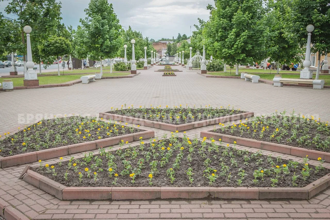 В сквере Карла Маркса припарковалась цветочная карета   В сквере Карла Маркса преобразилась установл