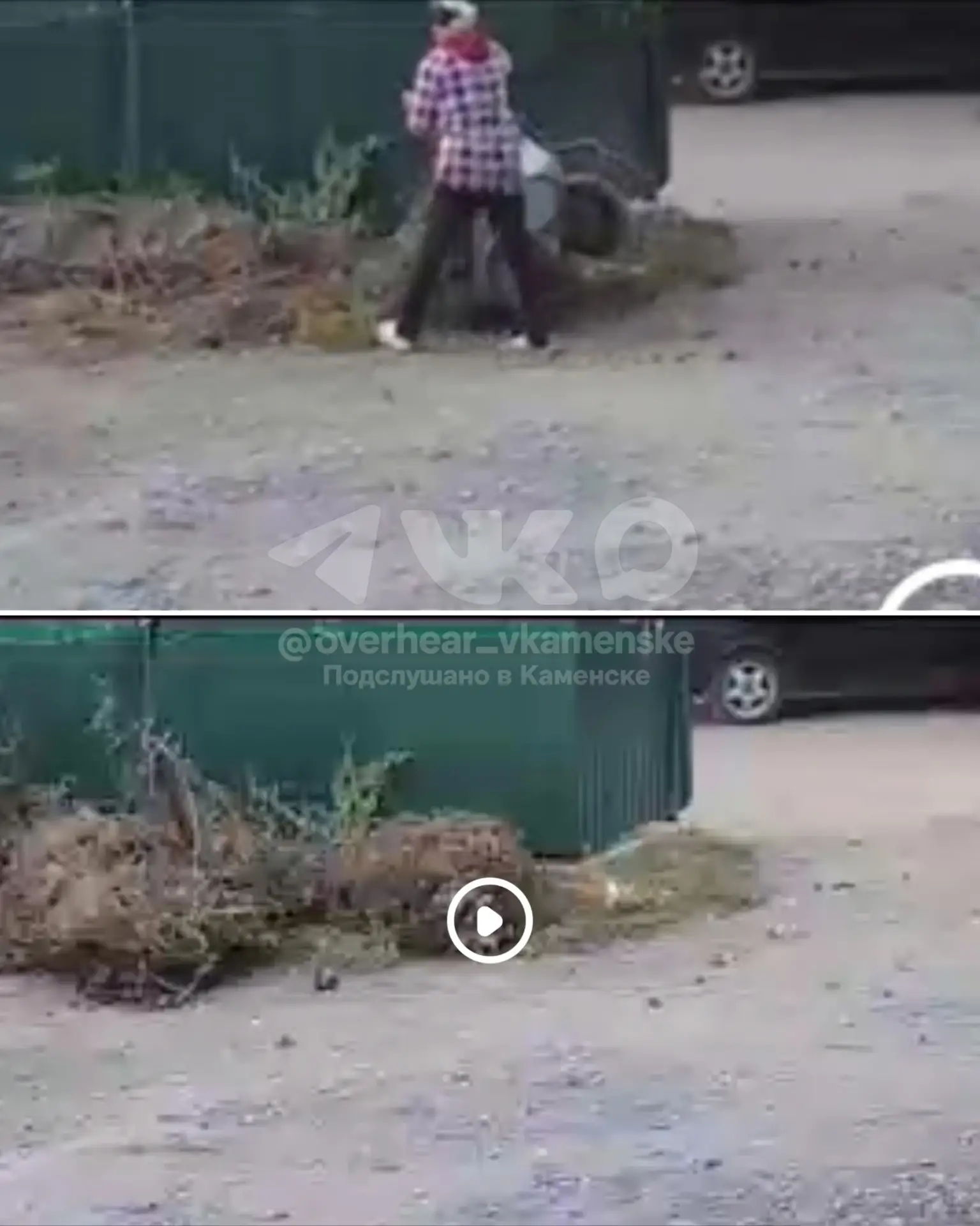 🚯 "Прошу опубликовать этот пост, так как женщина словами не понимает, что мусорить за ...