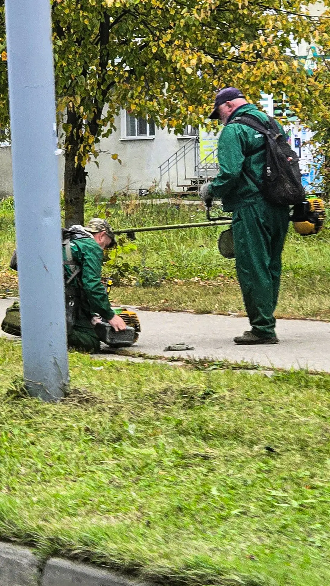 🔥На улице уже ОСЕНЬ, деревья сбрасывают последнюю листву, народ достает пуховики... но...