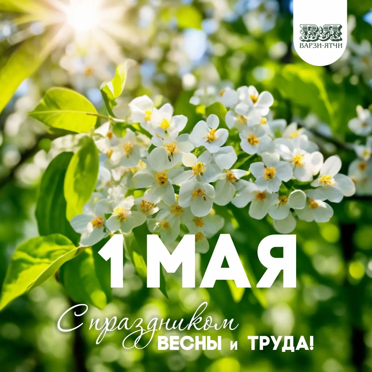С праздником весны и труда!