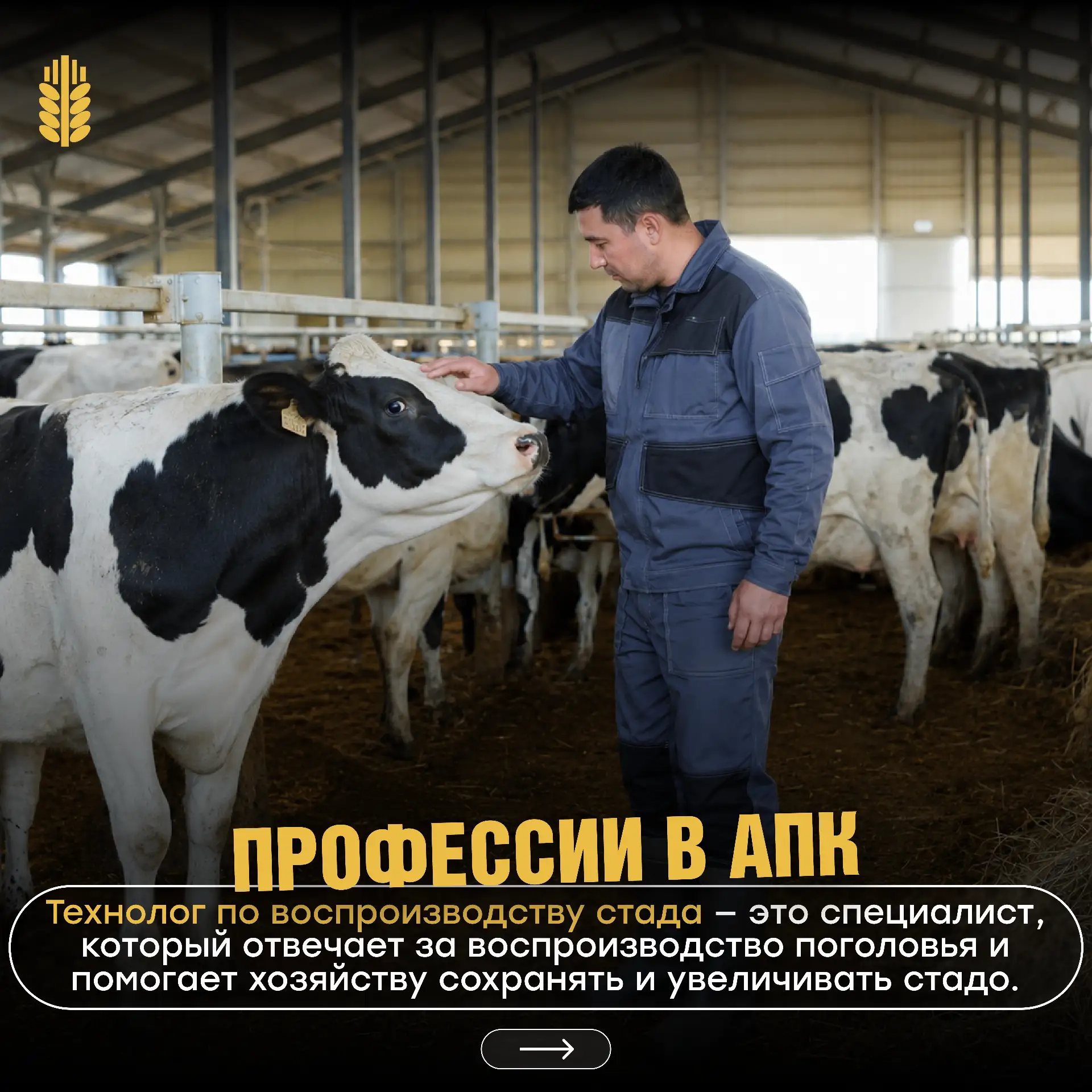 Кто помогает стаду расти и развиваться?