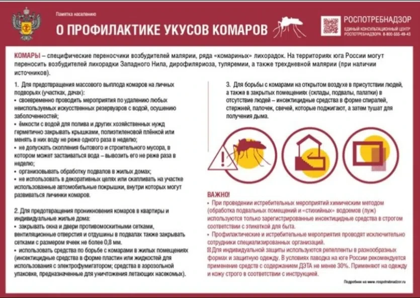 Всемирный день комара. Средства от комаров: какие выбрать и как использовать