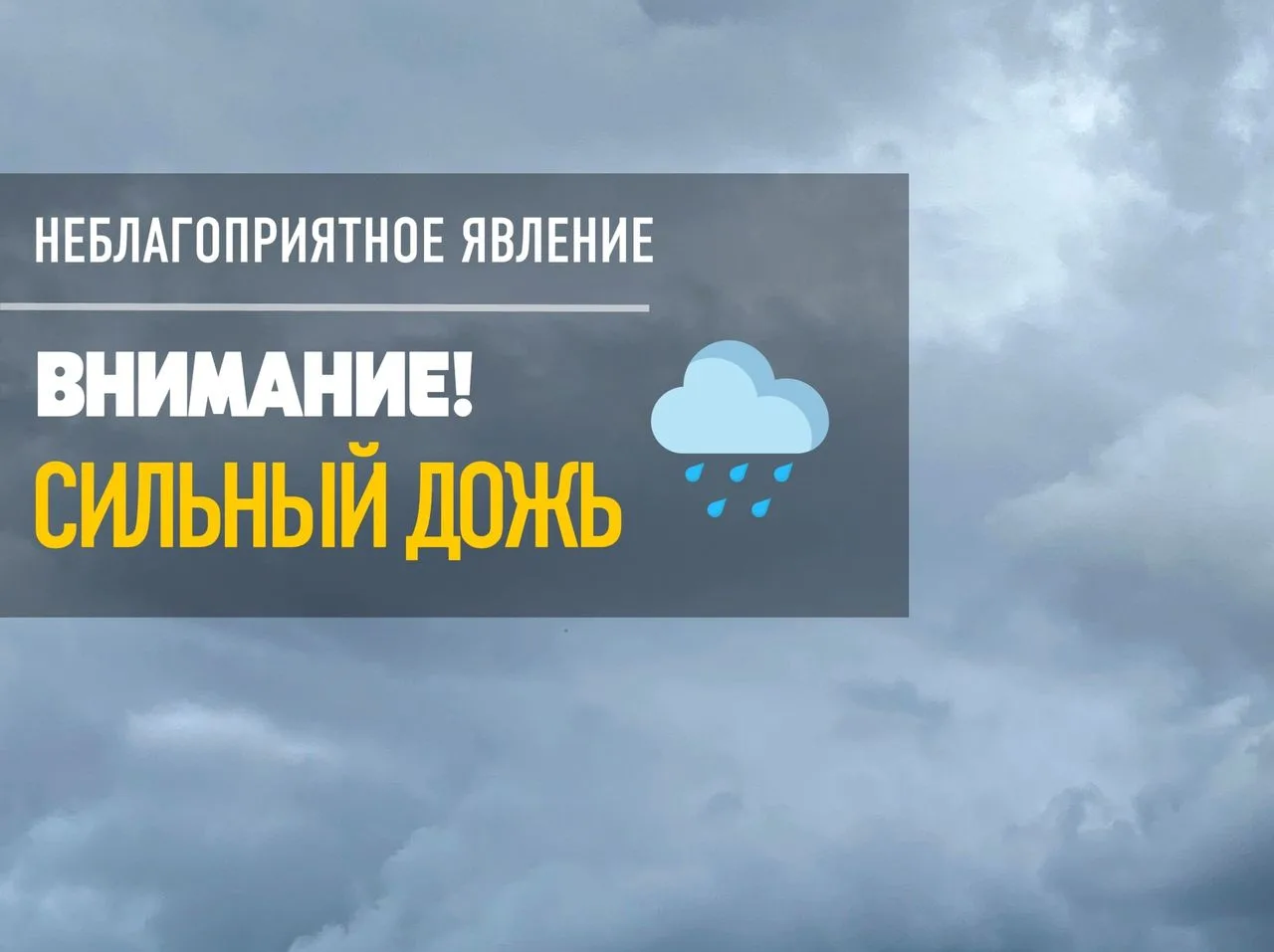 МЧС предупреждает о сильных дождях и ливнях в Псковской области