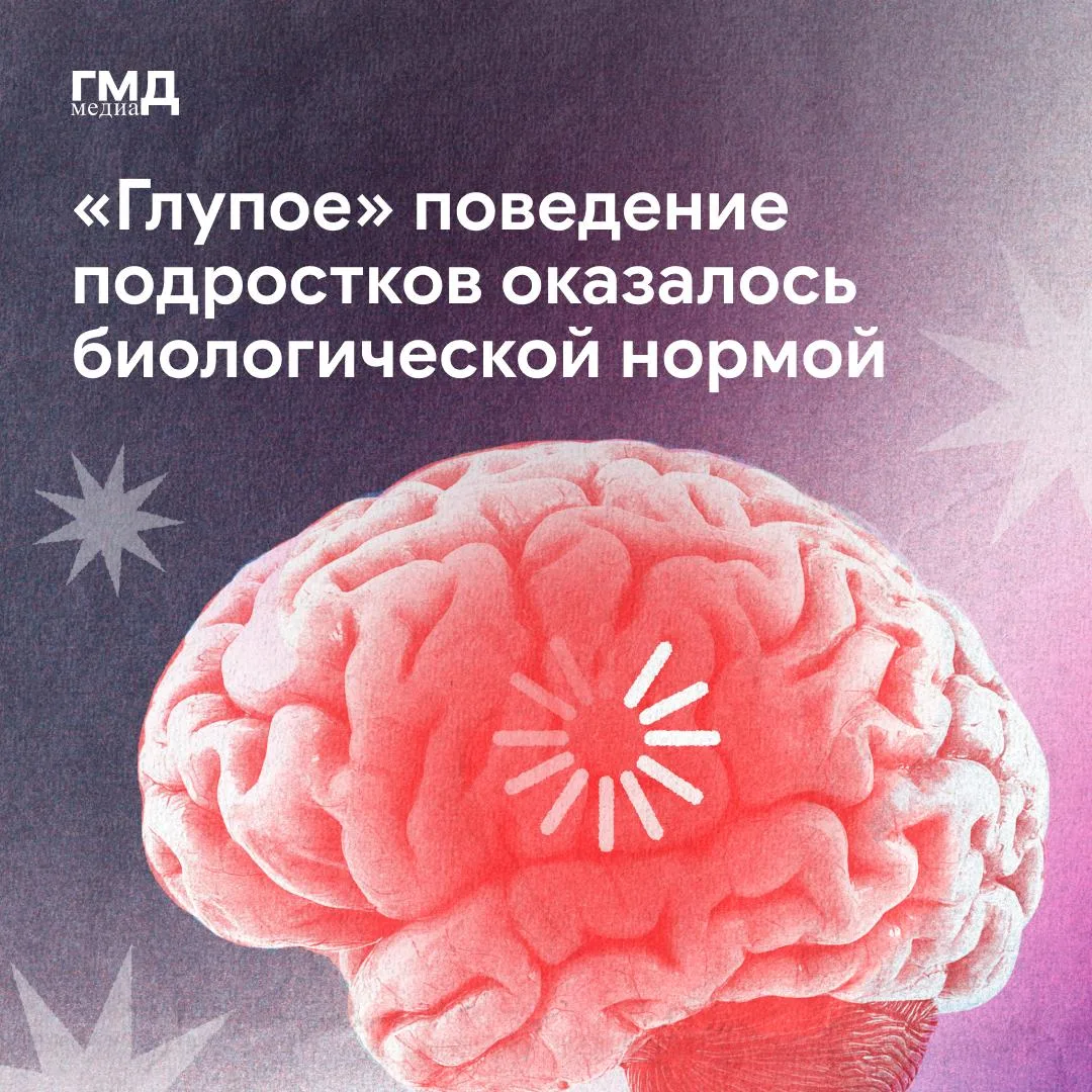 Взрослого, который не прощает несправедливость и отстаивает свои границы, мы называем п...