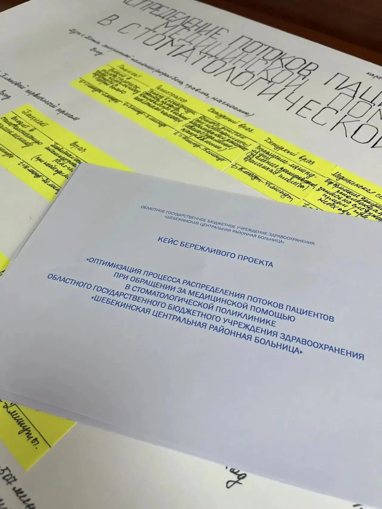 🏥Мы успешно реализовали проект «Распределение потоков пациентов при оказании медицинской помощи в с