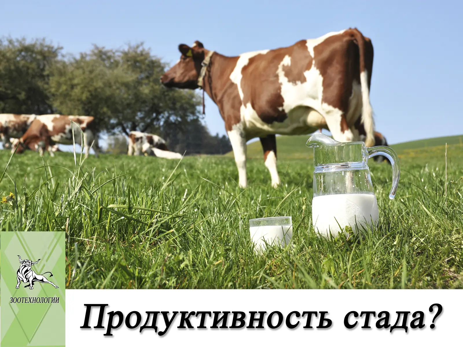 Почему фактическая продуктивность стада часто ниже его потенциала?

⚠️ Снижение надоев редко происхо