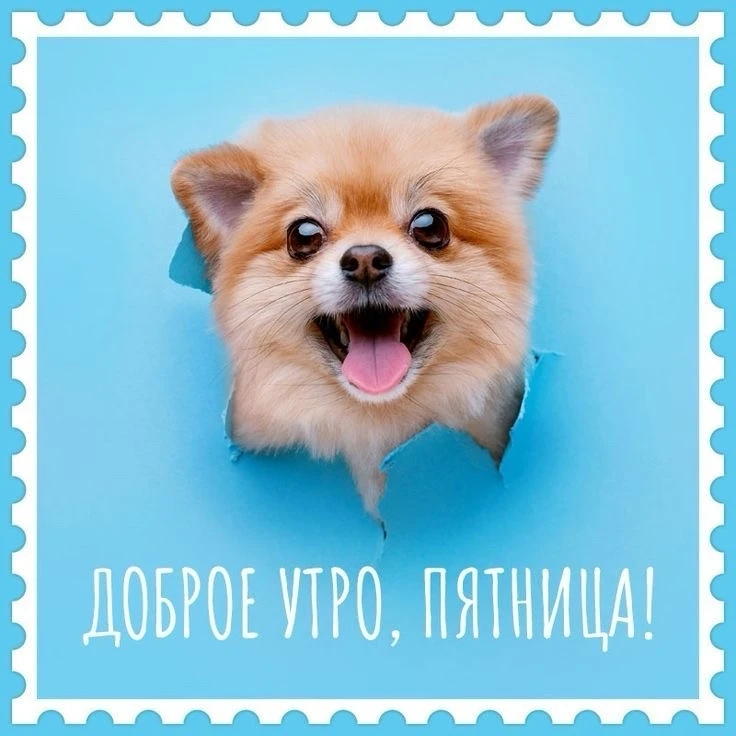 🤩Вот и наступила долгожданная пятница!
