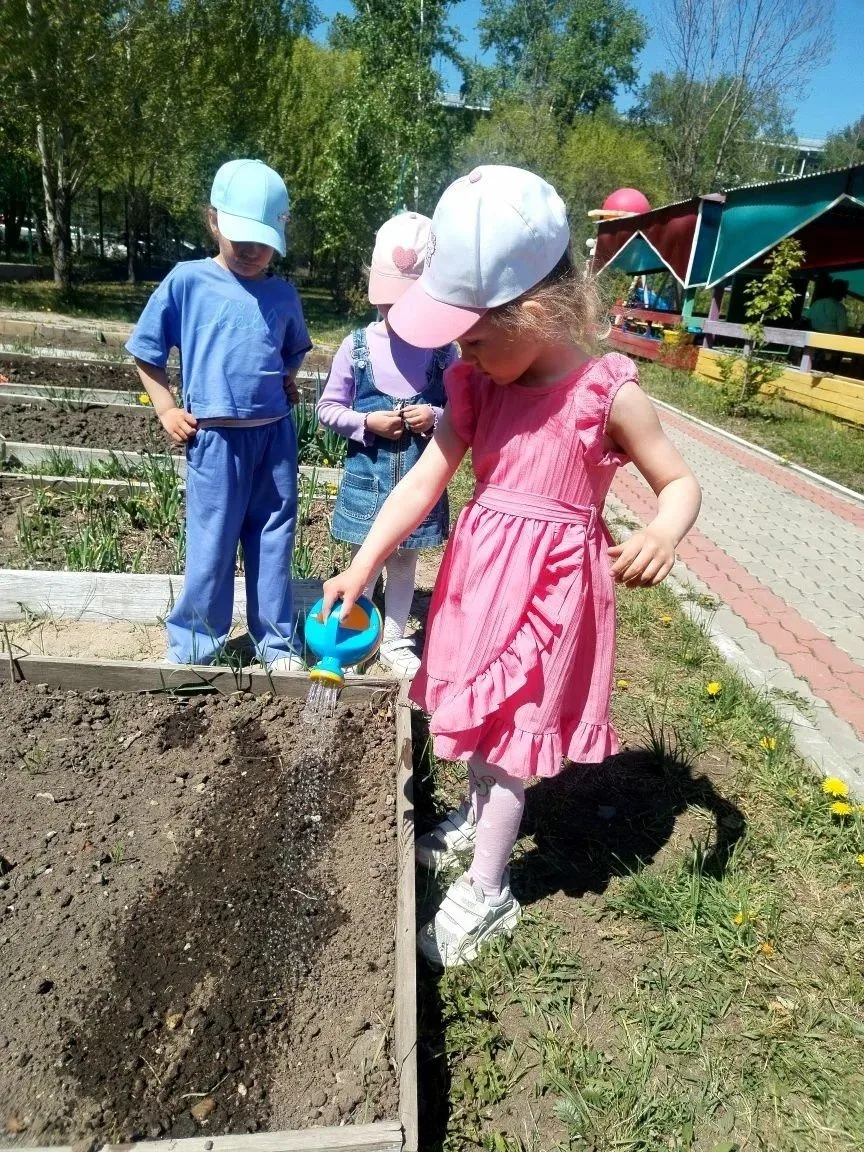 Огород в детском саду — важный элемент экологического воспитания и трудового обучения дошкольников. 