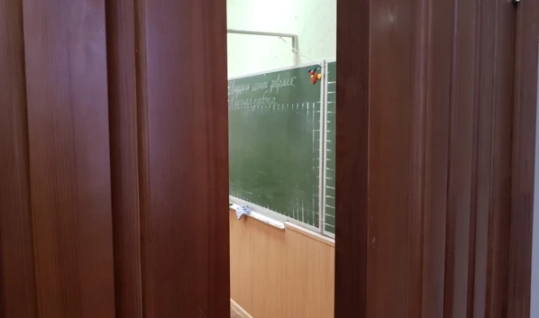 Минобр запретил привлекать учителей к вечерним обходам после драки девочек в Россоши