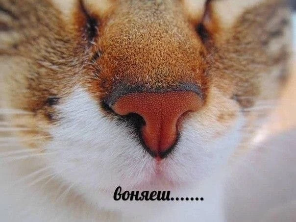 мой файл не поможет((((

если вы не знаете, что за буковки в формулах и как их ваще применять

а что