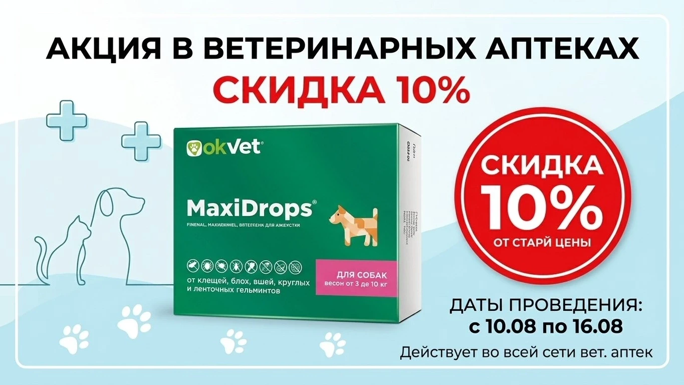 🛡 Клещ, блоха или ушной клещ? Одна капля Maxi Drops решит всё!