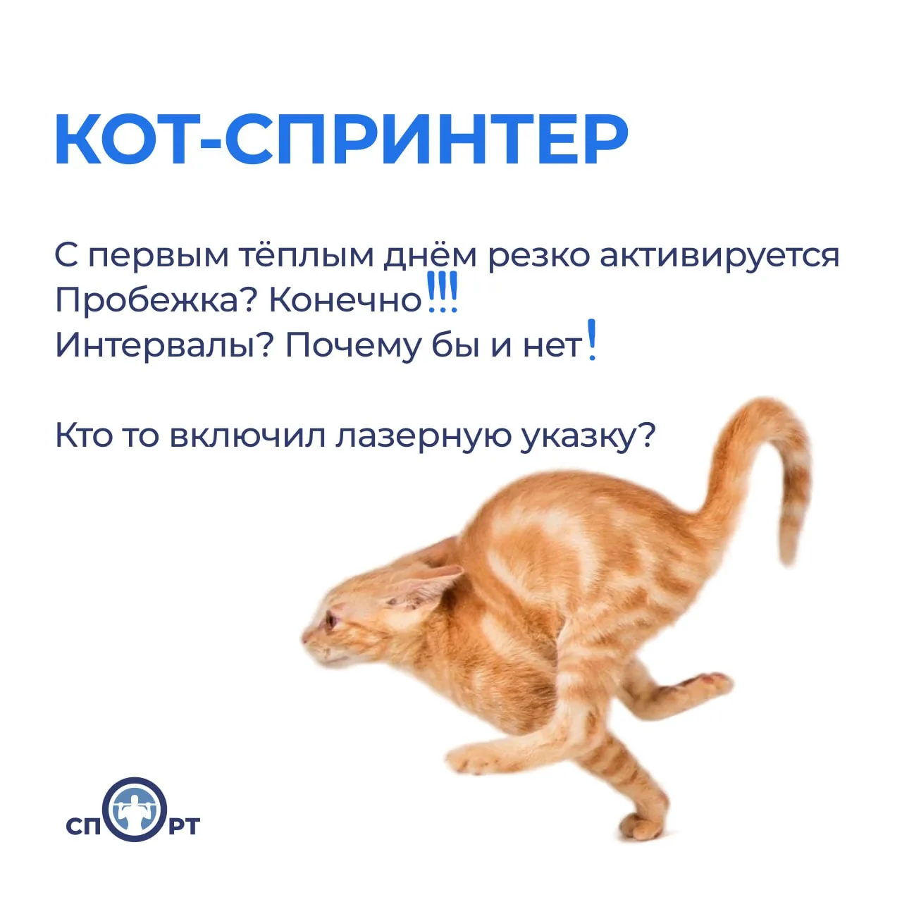 🐾 ТВОЙ СПОРТИВНЫЙ ИНСТИНКТ ПРОСНУЛСЯ. ВОПРОС — КАКОЙ?

Мы собрали 8 типов мартовских котиков — узна