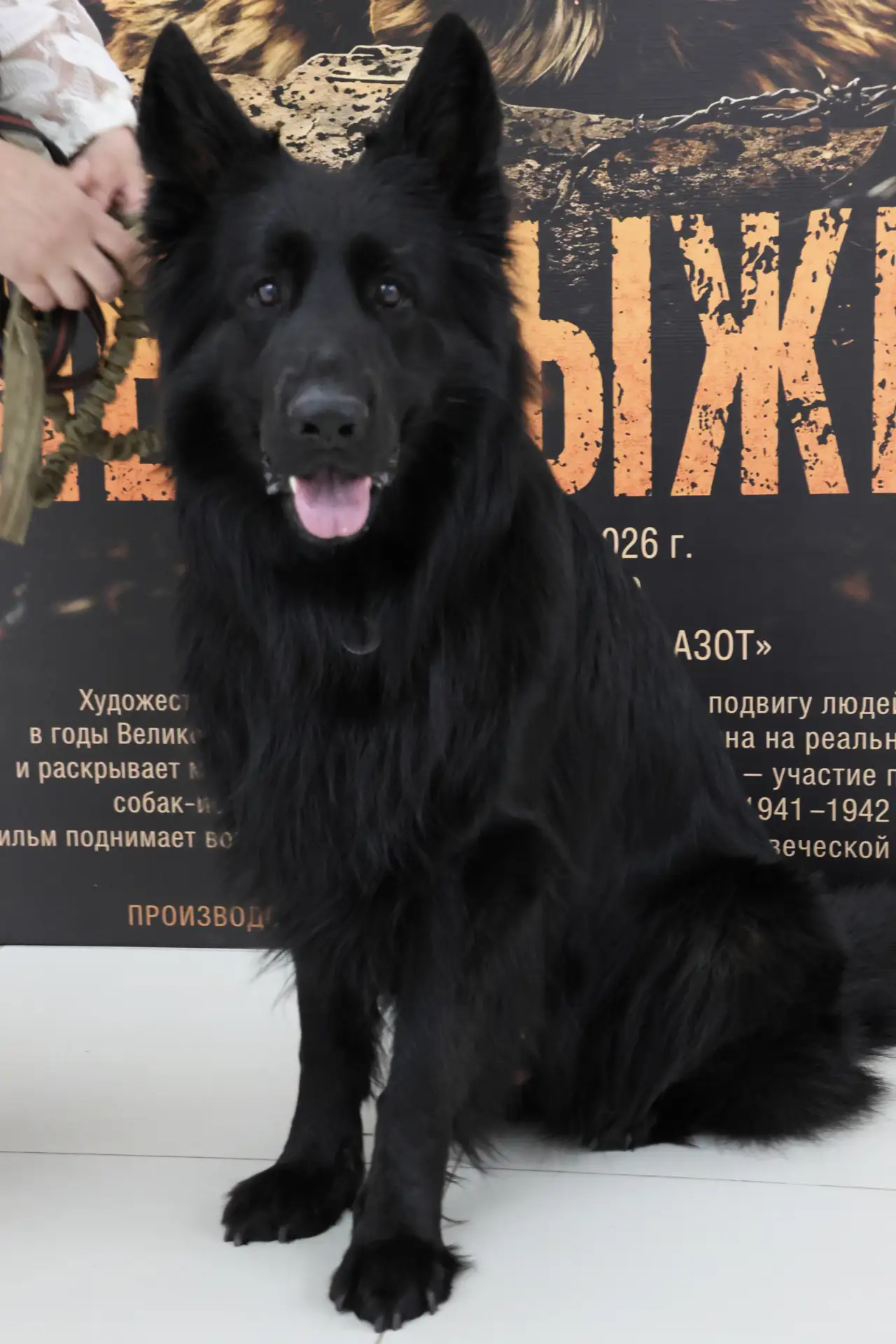В Новомосковске состоялся эксклюзивный закрытый показ российского художественного фильма «Пёс Рыжий»