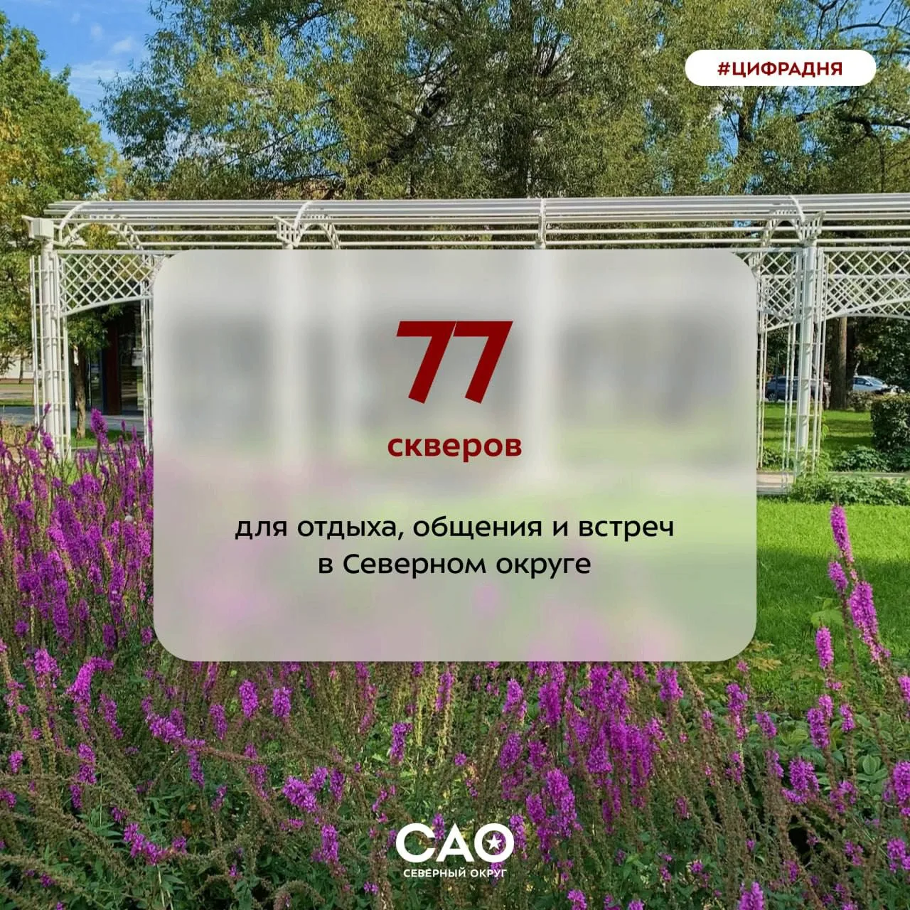 🌳 Северный округ — это не только живописные парки и уютные дворы, но и множество скверов, которые с