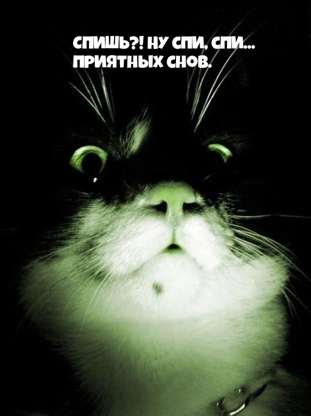 Спокойной ночи и приятного аппетита 😋