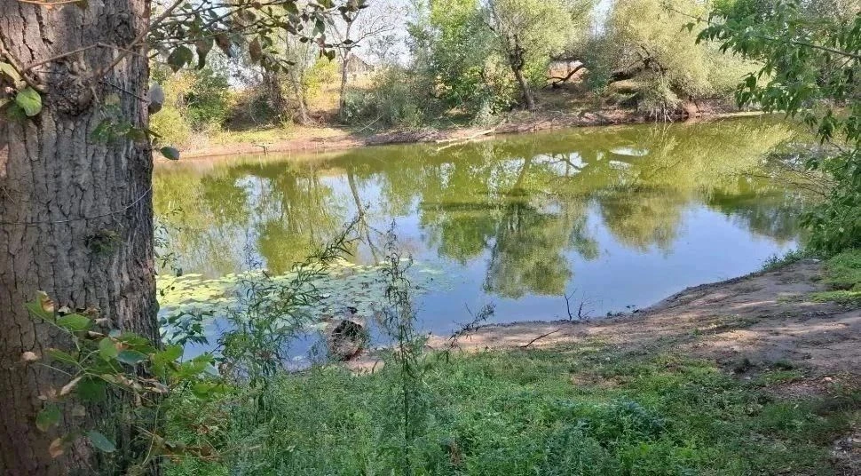 ☀Волонтерский отряд клуба села  Крыловка «Луч добра»также внес свой вклад ко Дню города...