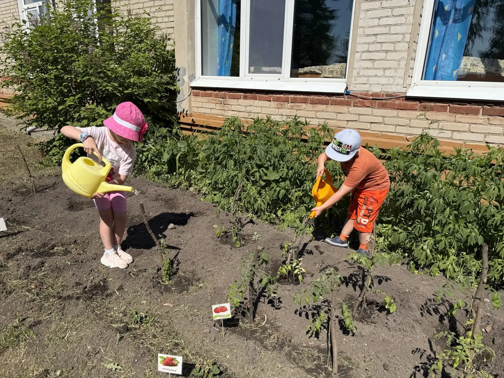 Сегодня дети с большим энтузиазмом помогали поливать огород. С особым интересом они рассматривали гр