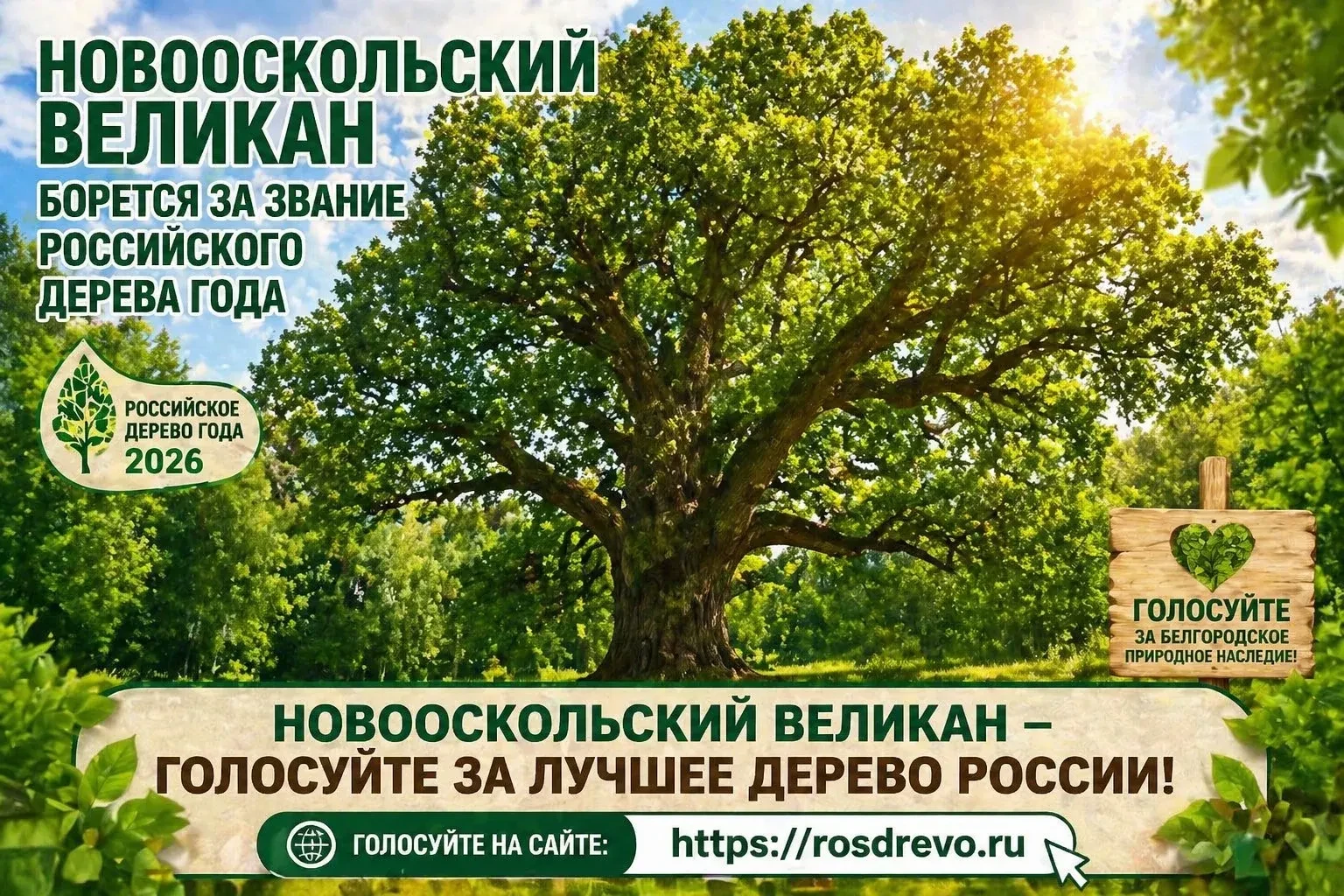 🌳С 1 мая стартует голосование за звание «Российское дерево года - 2026» Деревья - памя...