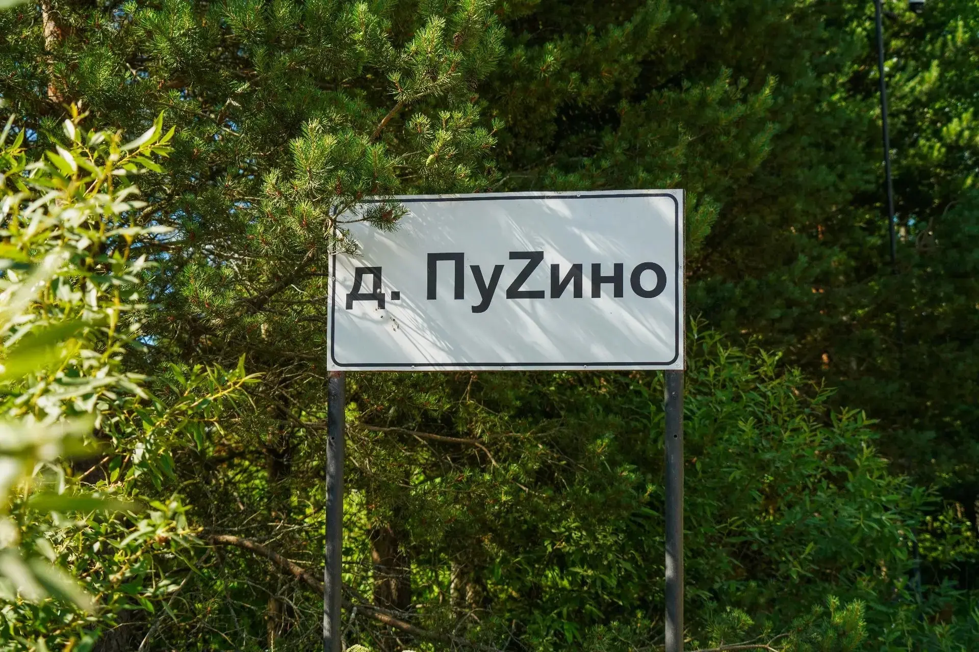 До августа свяжут Пузино и Житниково новой дорогой. Работы начнутся на следующей неделе...