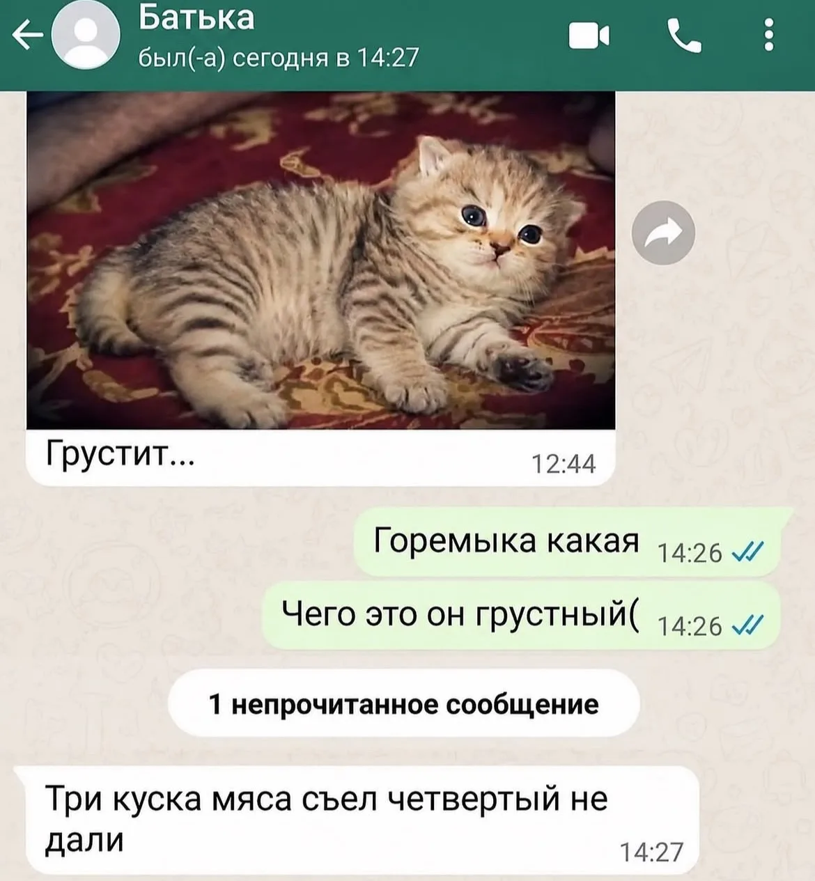 Дурилка картонная