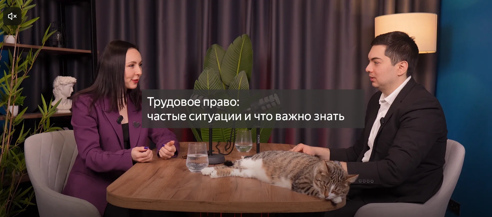 Недавно разбирали кейс по трудовому праву — сегодня вышел выпуск на эту тему

В новом выпуске подкас