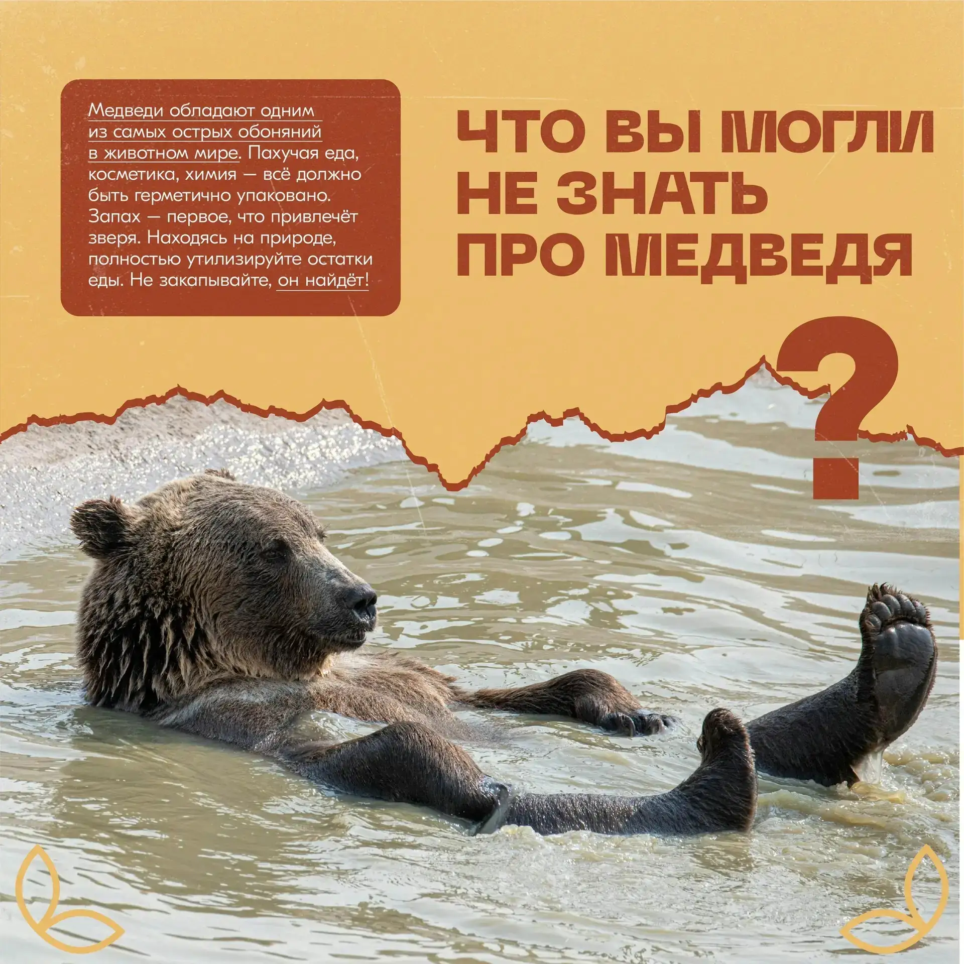Знаете ли вы правила добрососедства с медведями?

Центр «Экосистема» собрал основные рекомендации ру