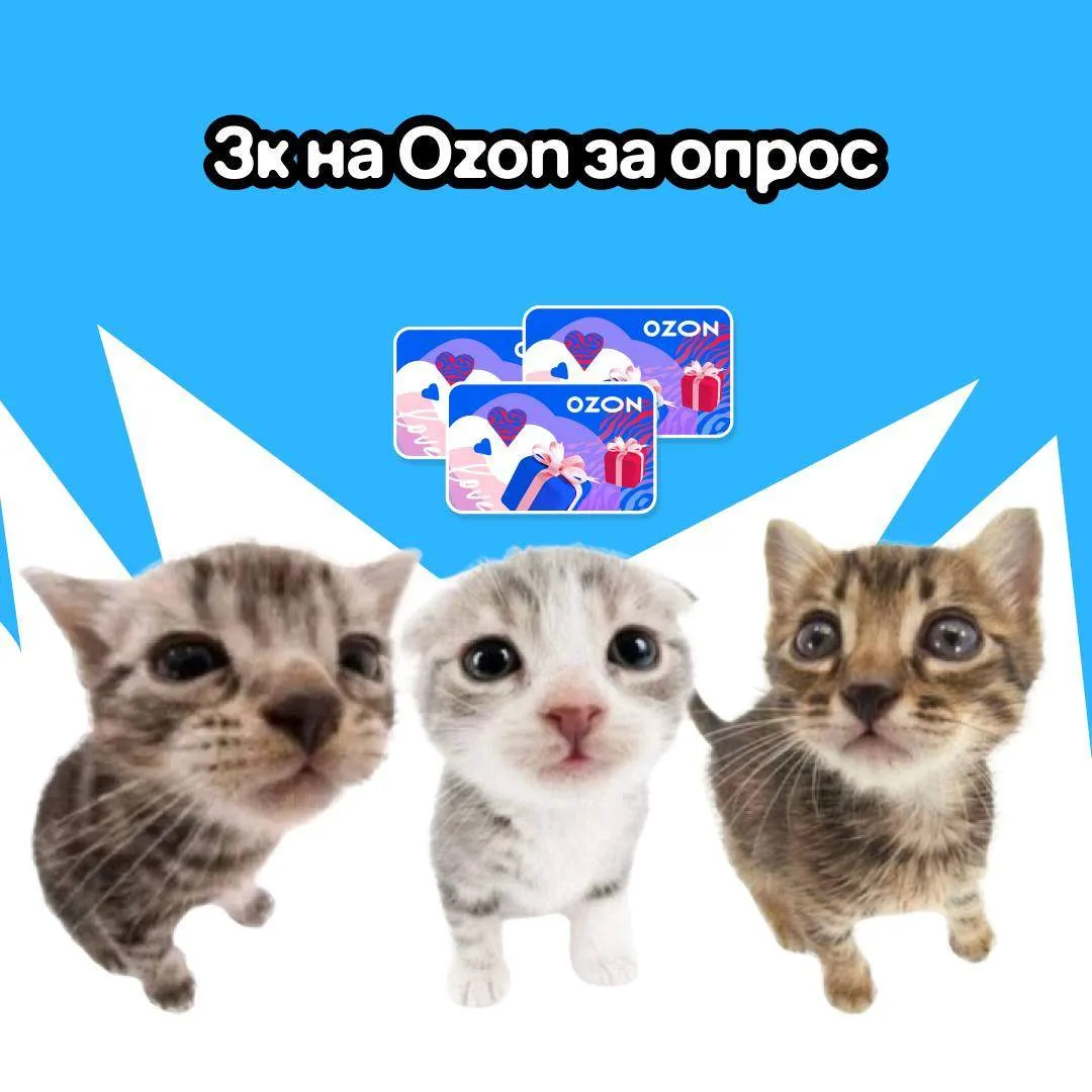 дарим 3 сертика по 3к на Ozon за прохождение опроса

привет, на связи админы й журнала. нас целых тр