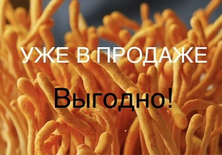 ⚡️ СВЕЖИЙ КОРДИЦЕПС УЖЕ В ПРОДАЖЕ! ⚡️
Друзья, завезли отличный кордицепс! Природный источник энергии