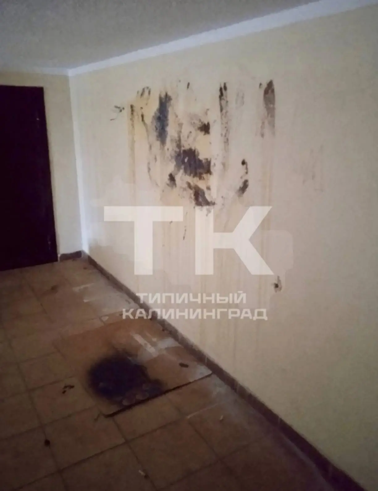 🤢 «Фекальные росписи» появились на стенах подъезда дома на Дзержинского. 

По словам жильцов дома №
