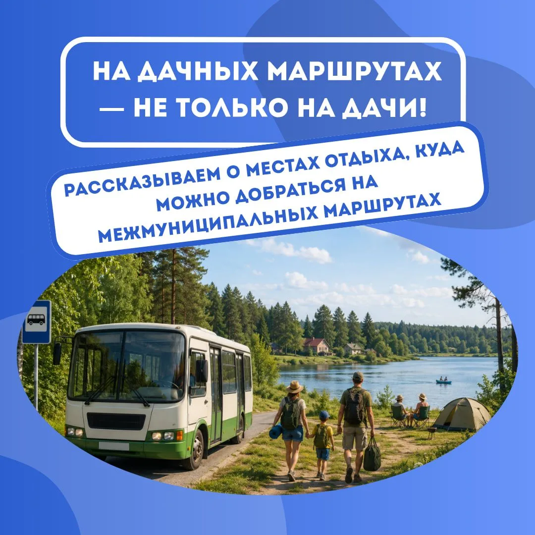🚌 На дачных маршрутах — не только на дачи