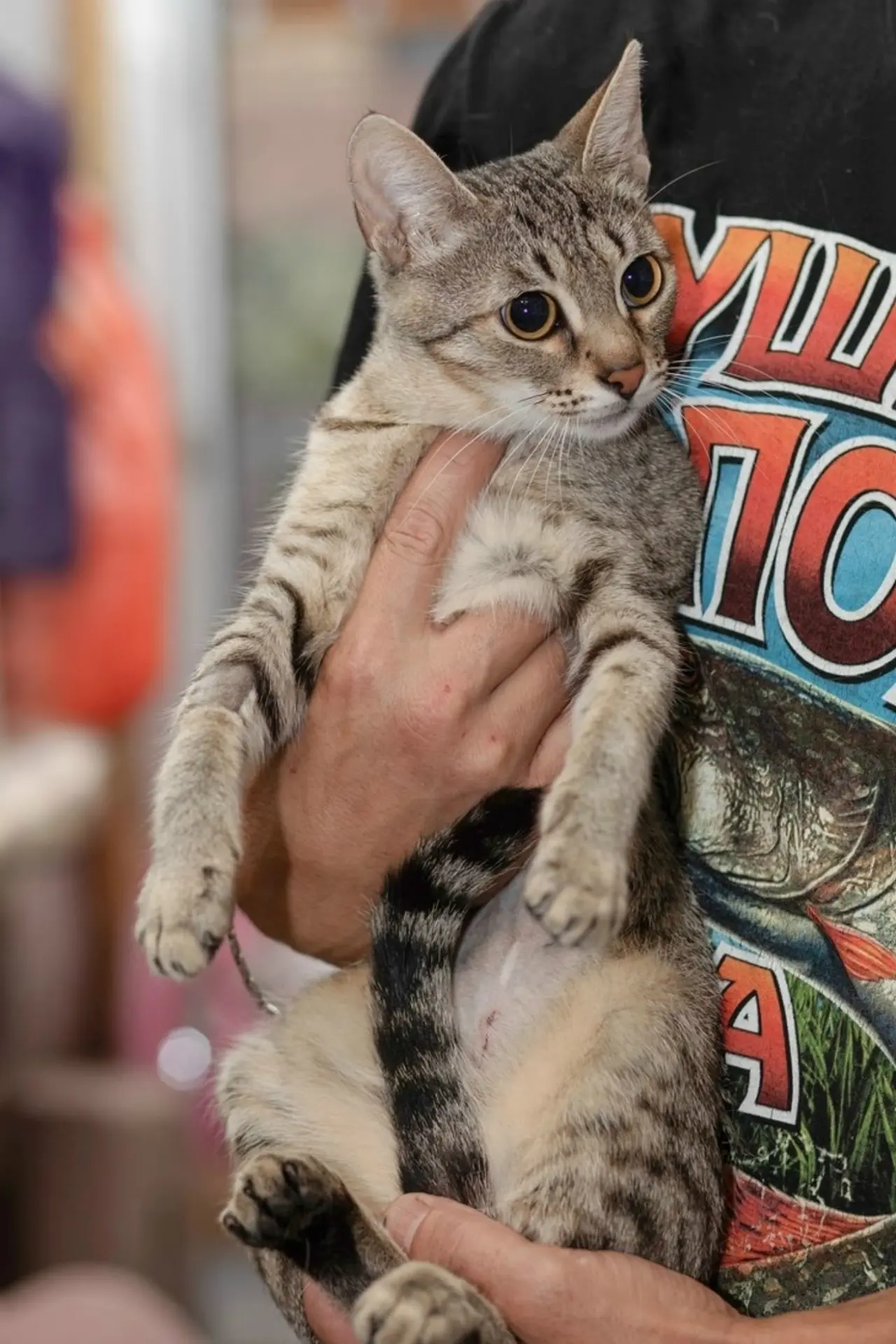 Золотые глаза, которые ищут любви ✨