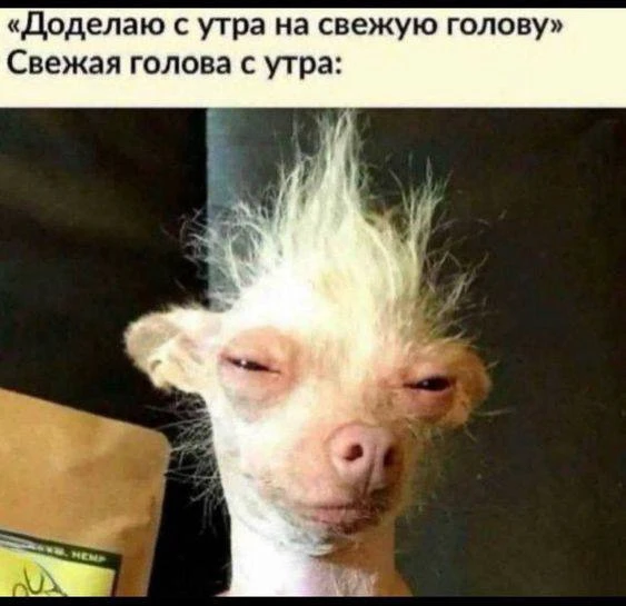 Так начинается обычное утро😂