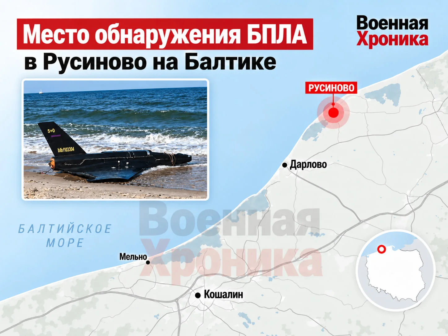Поляки устроили истерику из-за найденного на побережье Балтийского моря якобы заблудивш...