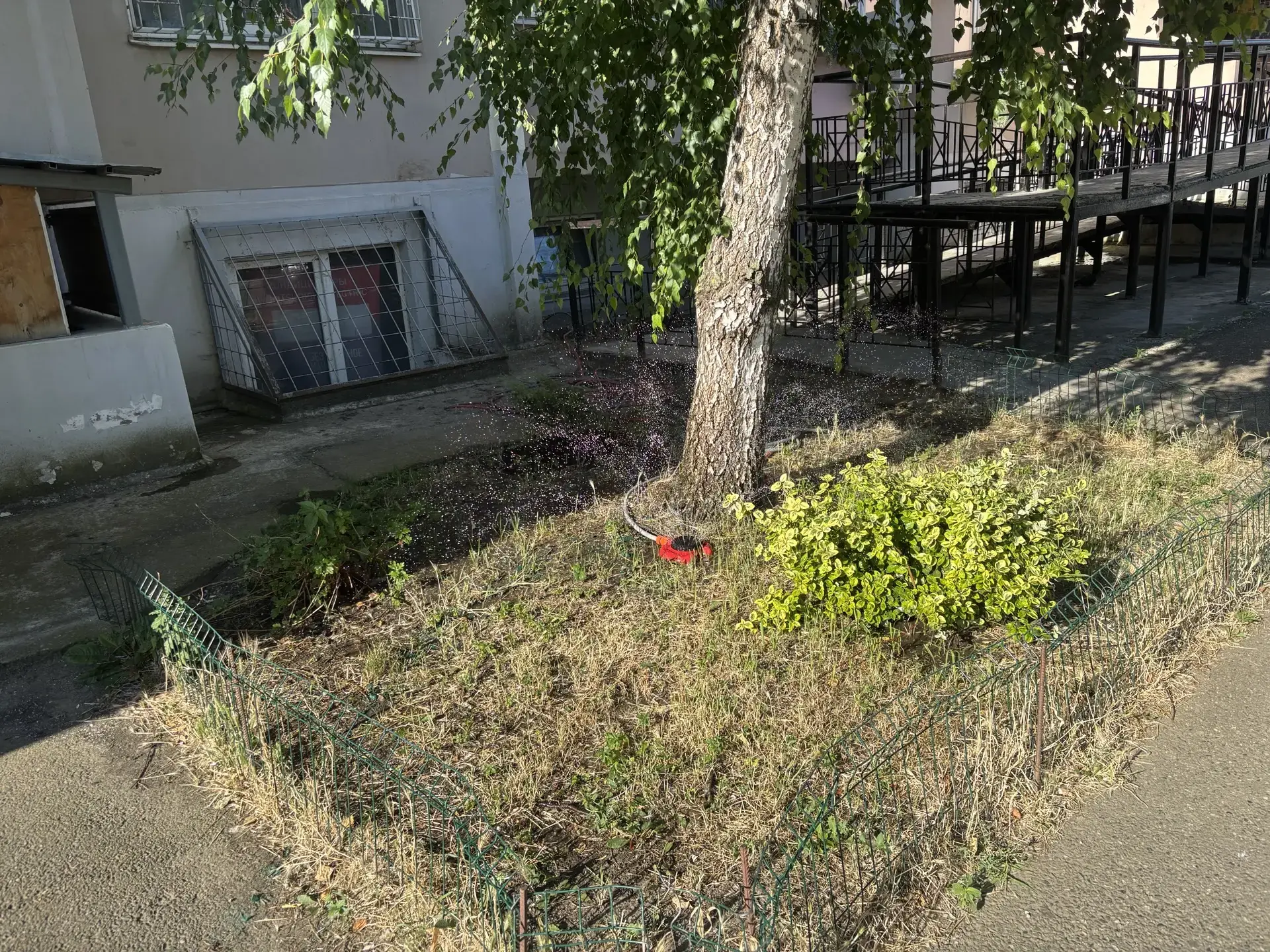 🌿 Благоустройство / озеленение