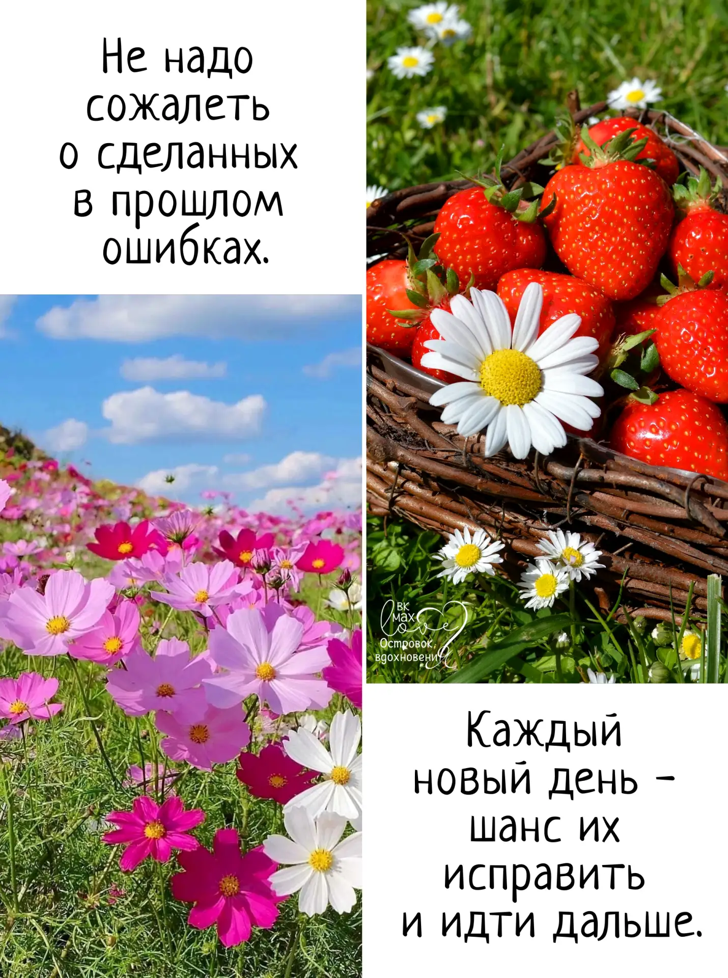 Самый лучший день - сегодня. Желаю прожить его с хорошим настроением, вдыхая ароматы июня.
───⋅୭⋅───