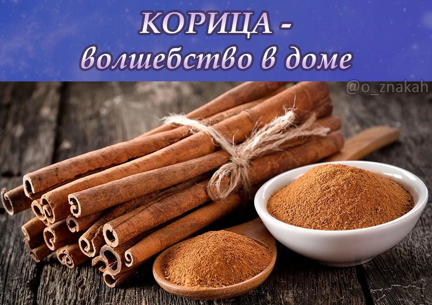 СИЛА КОРИЦЫ — ВОЛШЕБСТВО В ДОМЕ

Когда используете корицу — произносите нужный шепоток:

В кофе или 