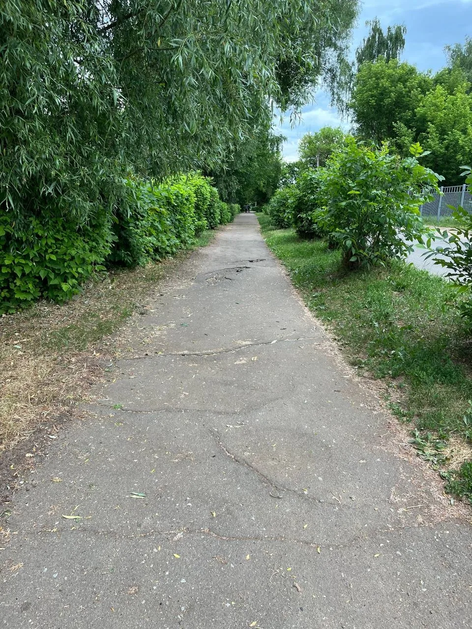Прошу вас посмотреть на данные тротуар по адресу городе Старая Купавна ул. Спортивный п...