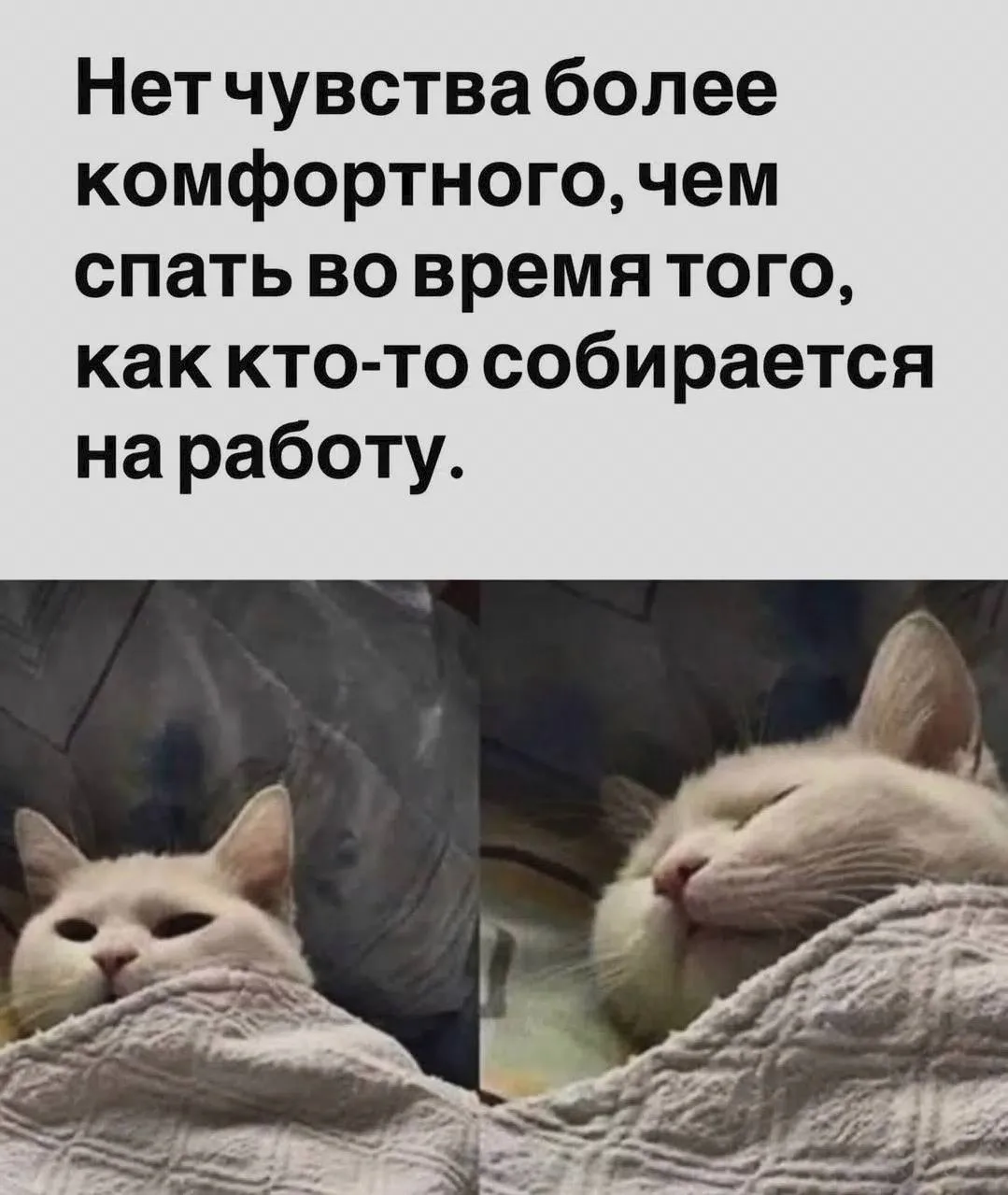 @memachh
