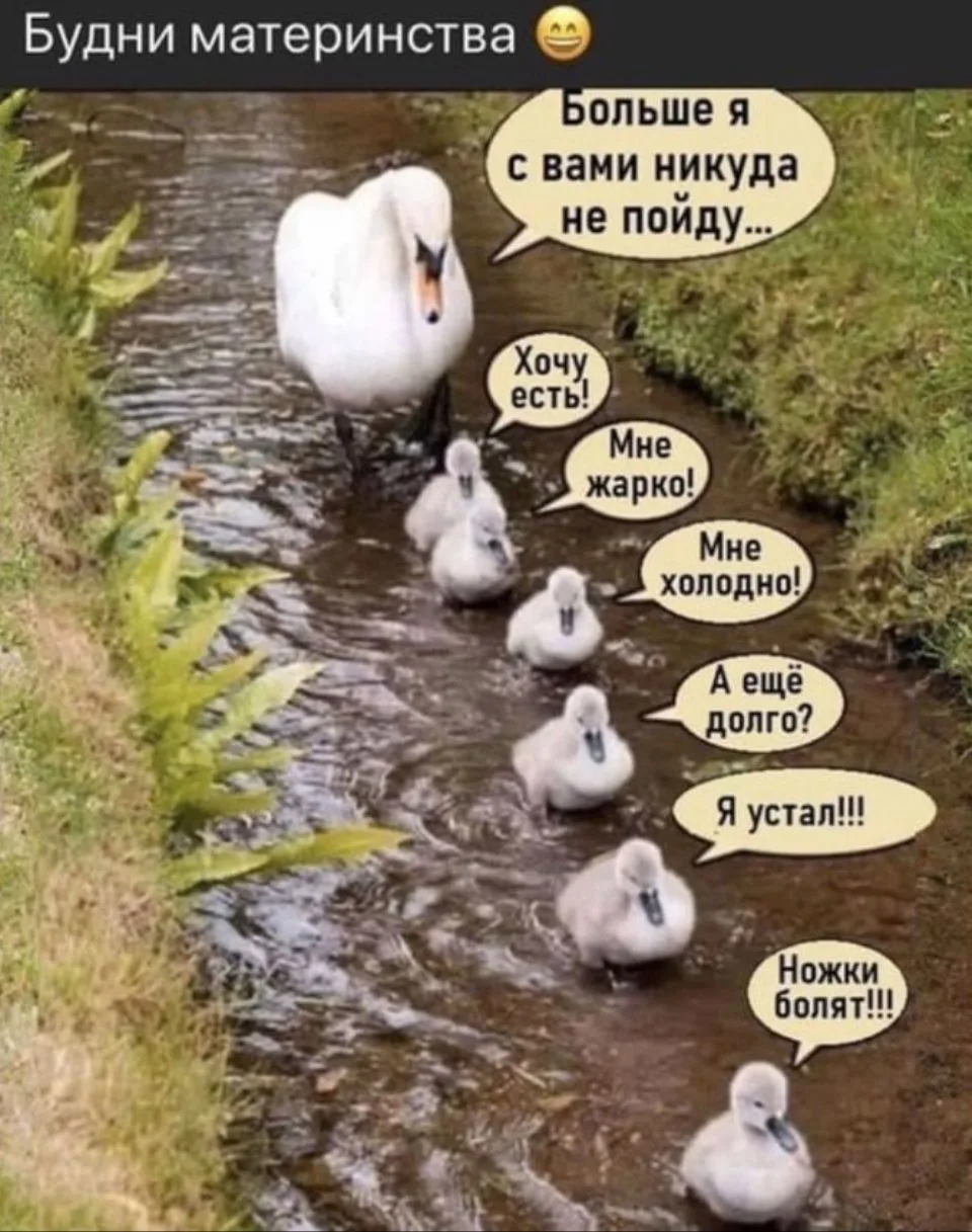😁Умора | Юмор в картинках😁