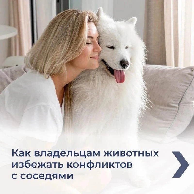 ⚠️Проживание животных в многоквартирном доме связано с определёнными обязанностями.

Все подробности