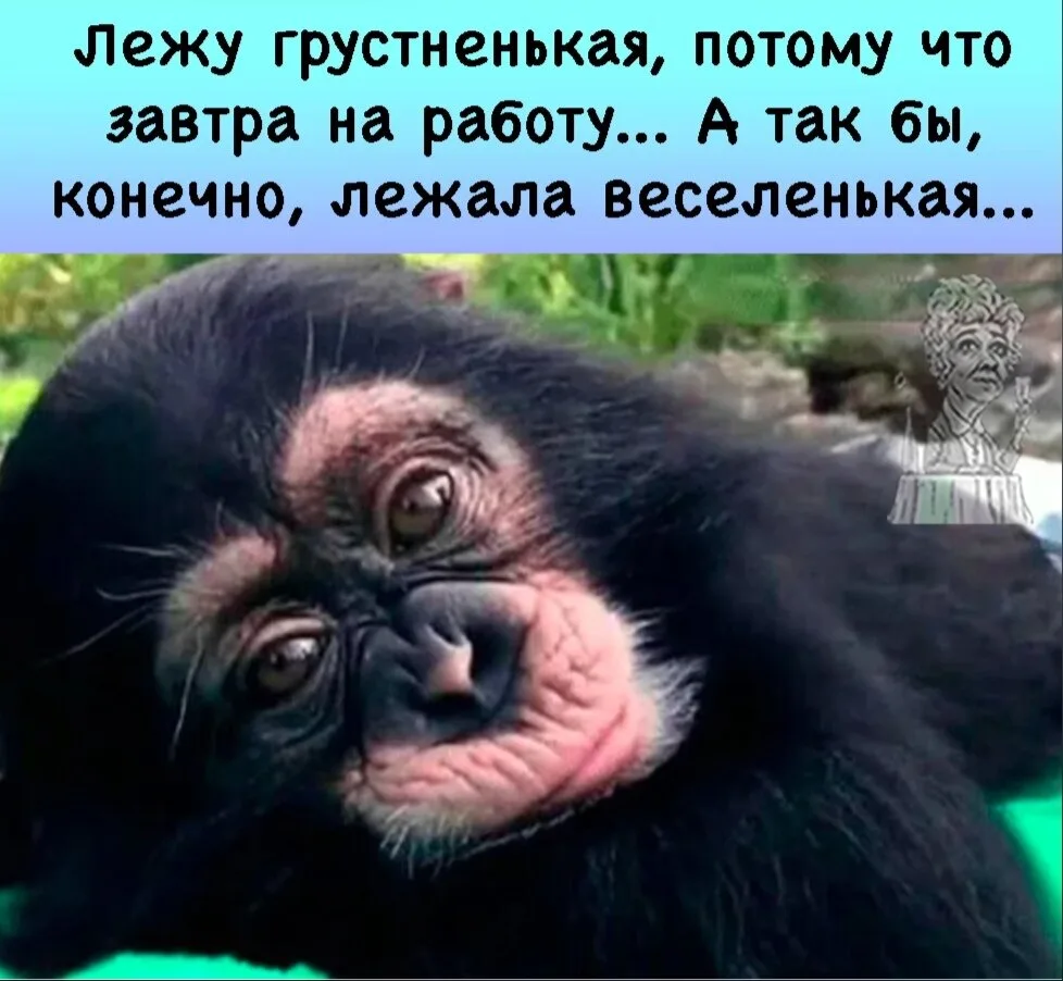 ХОРОШО ТАМ, ГДЕ НАС НЕТ, А ГДЕ МЫ ЕСТЬ — ТАМ ЗАВТРА БУДИЛЬНИК НА РАБОТУ! 😂